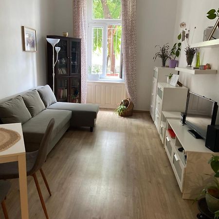Simon'S Apartment City Centre 布达佩斯 外观 照片
