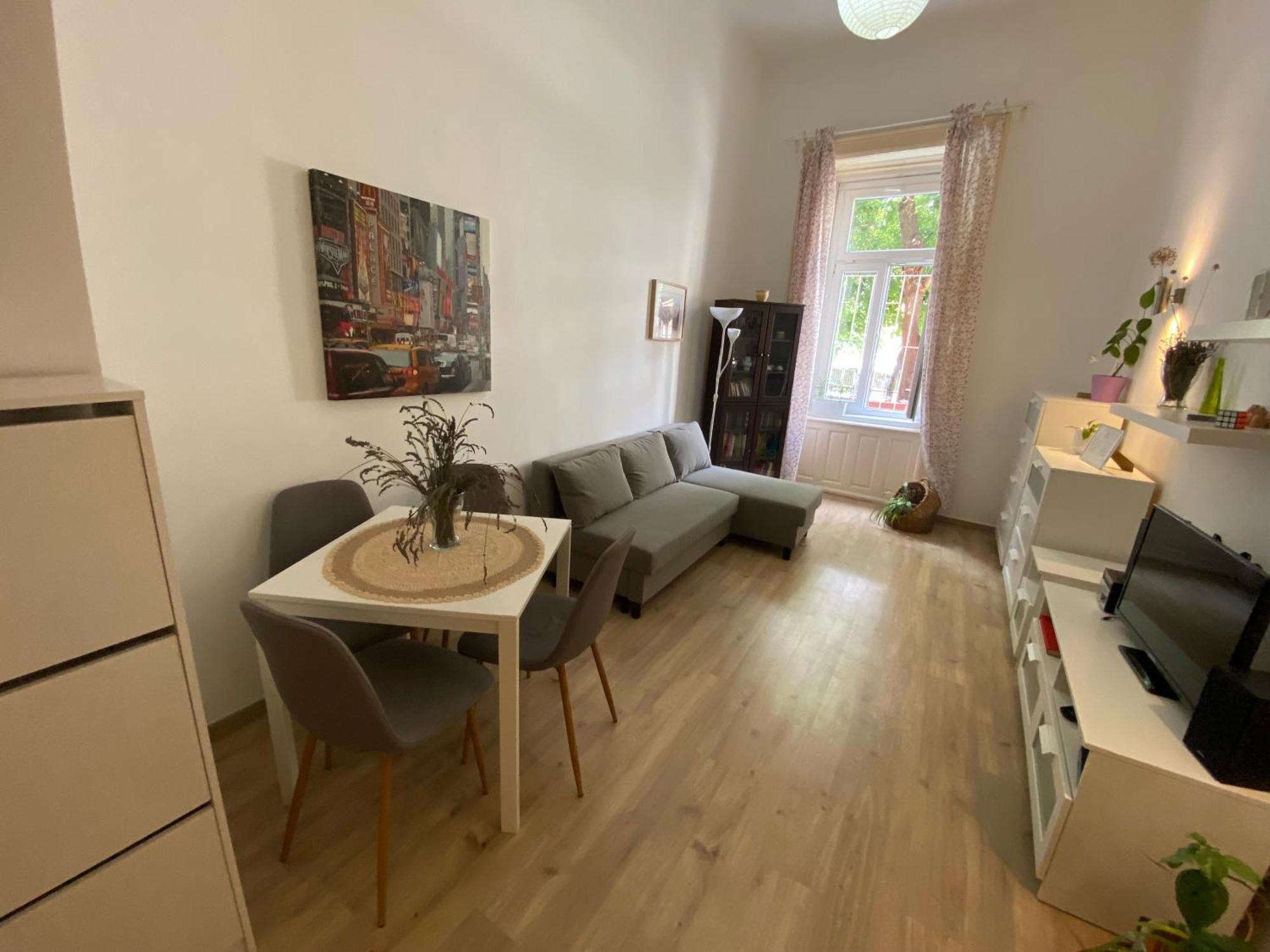 Simon'S Apartment City Centre 布达佩斯 外观 照片